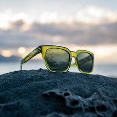 Dahlia - Sage Polarized